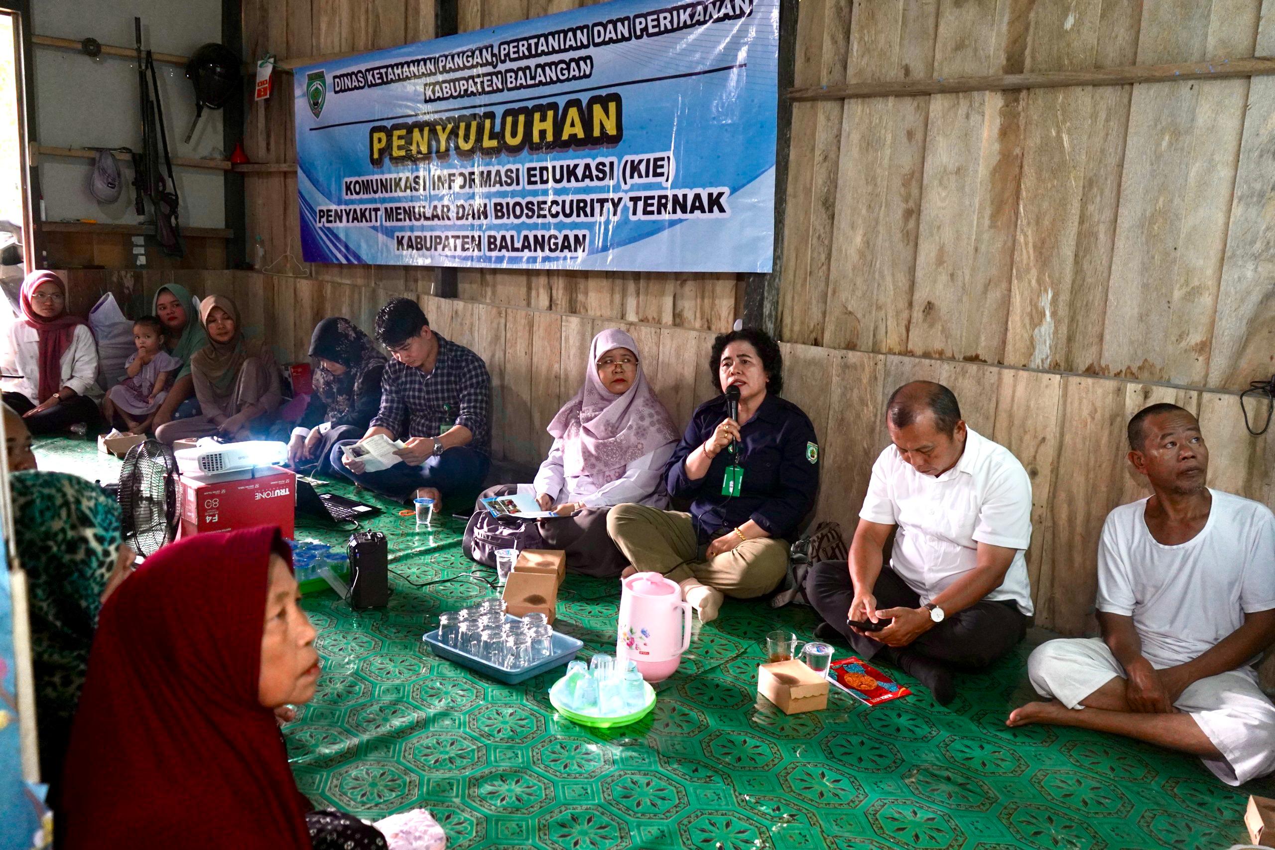 Cegah Penyakit pada Ternak, DKP3 Balangan Gelar Penyuluhan KIE di Desa Nungka