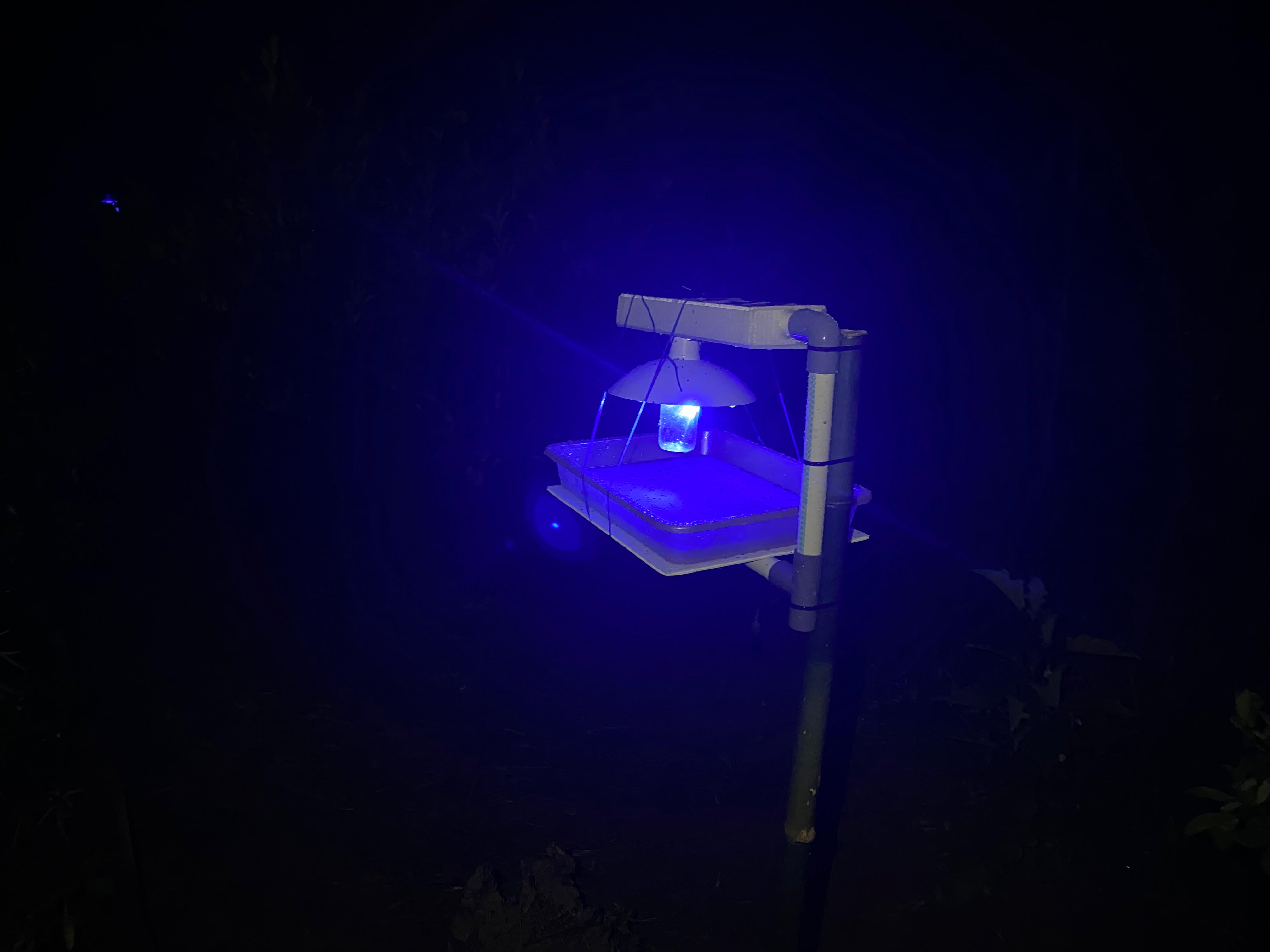 Inovasi Anak Muda Balangan, EcoGuard Light Trap Sukses Kendalikan Hama Tanpa Pestisida