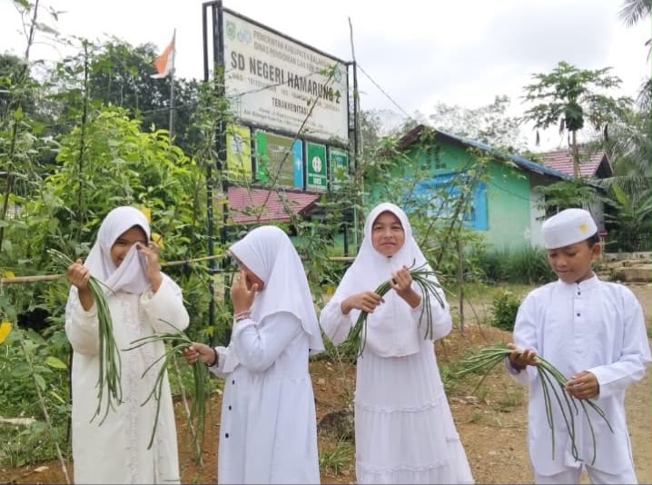 Lewat Inovasi AMAL SALIH, SD Negeri Hamarung 2 Tanamkan Kemandirian Sejak Dini
